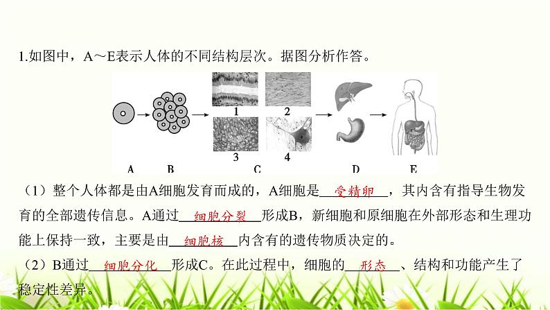 中考生物复习中考生物学常考图专练(读图识图)课件第2页