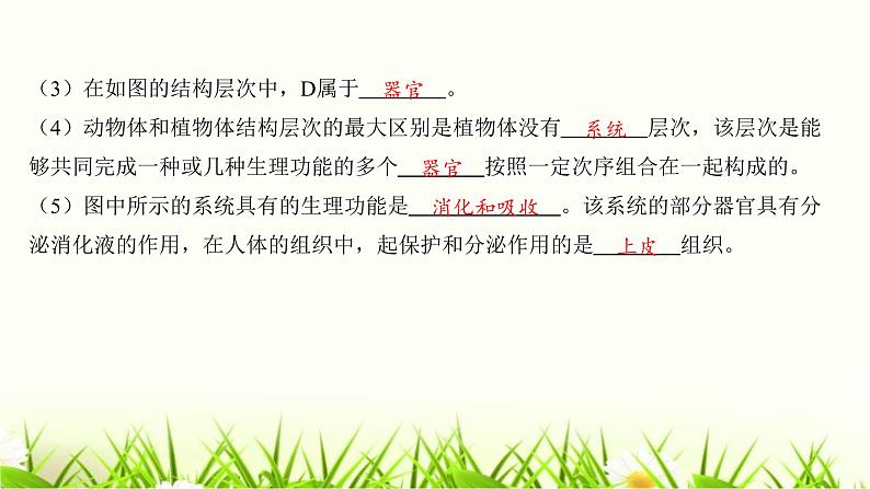 中考生物复习中考生物学常考图专练(读图识图)课件第3页