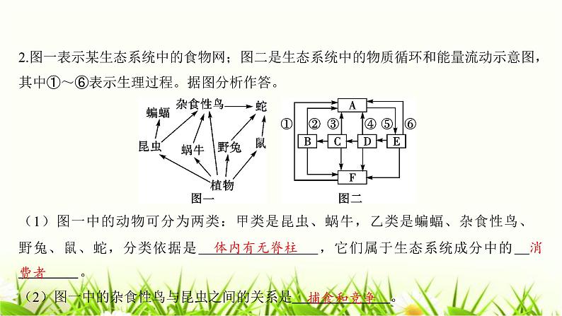 中考生物复习中考生物学常考图专练(读图识图)课件第4页