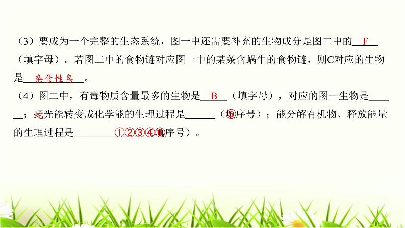 中考生物复习中考生物学常考图专练(读图识图)课件第5页