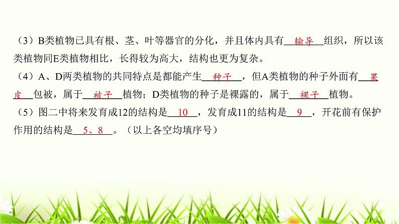 中考生物复习中考生物学常考图专练(读图识图)课件第7页