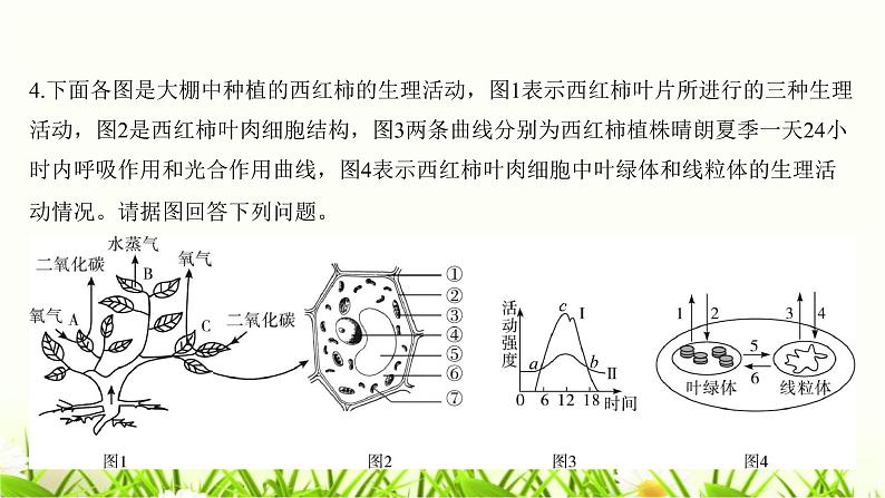 中考生物复习中考生物学常考图专练(读图识图)课件第8页