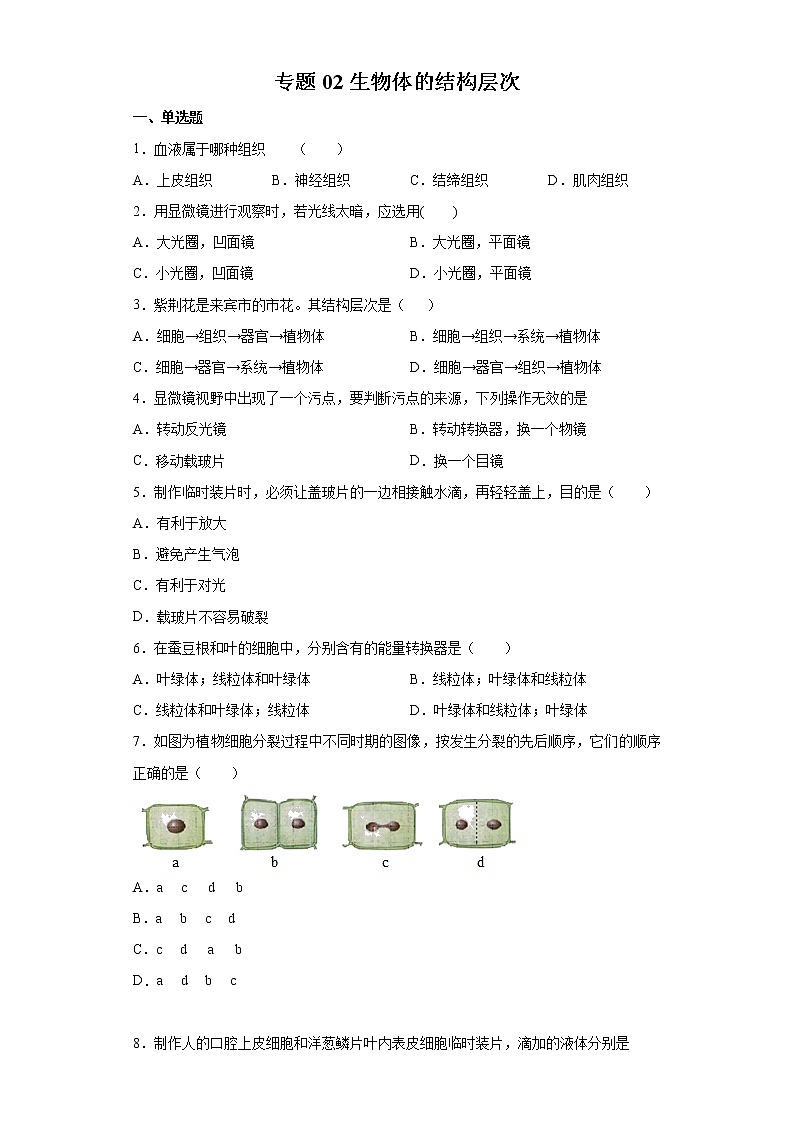 初中生物中考复习 专题02 生物体的结构层次(原卷版)第1页