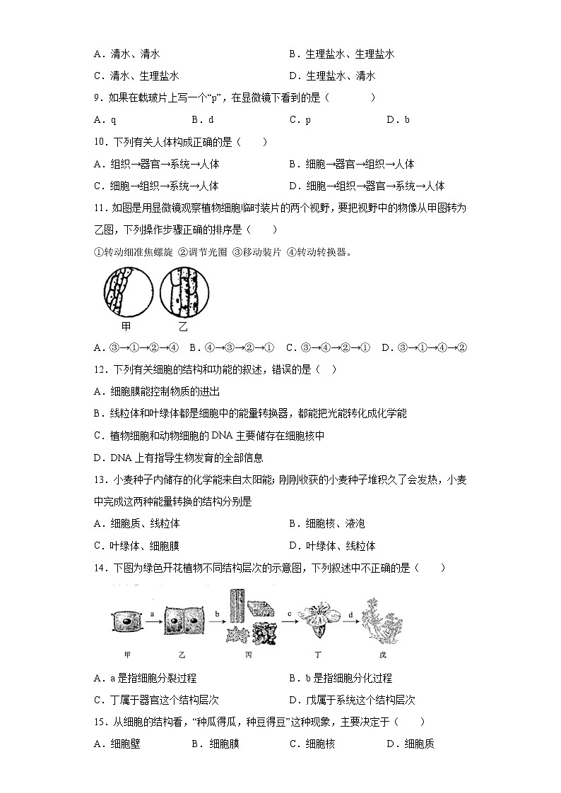 初中生物中考复习 专题02 生物体的结构层次(原卷版)第2页