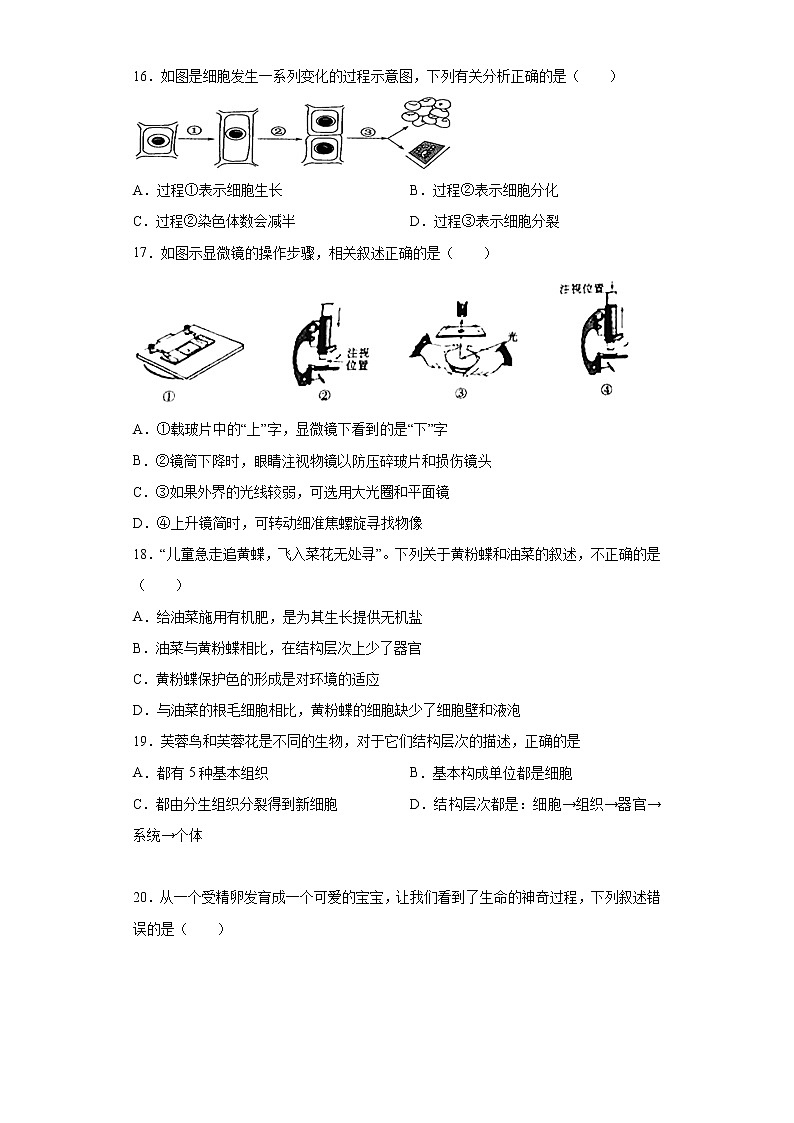 初中生物中考复习 专题02 生物体的结构层次(原卷版)第3页