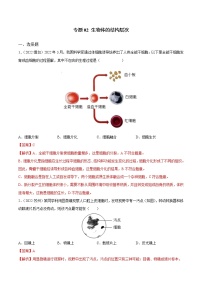 初中生物中考复习 专题02 生物体的结构层次-三年(2020-2022)中考生物真题分项汇编(全国通用)(解析版)