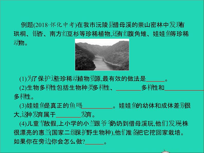 初中生物中考复习 中考生物总复习专题六生物的多样性及其保护课件第4页