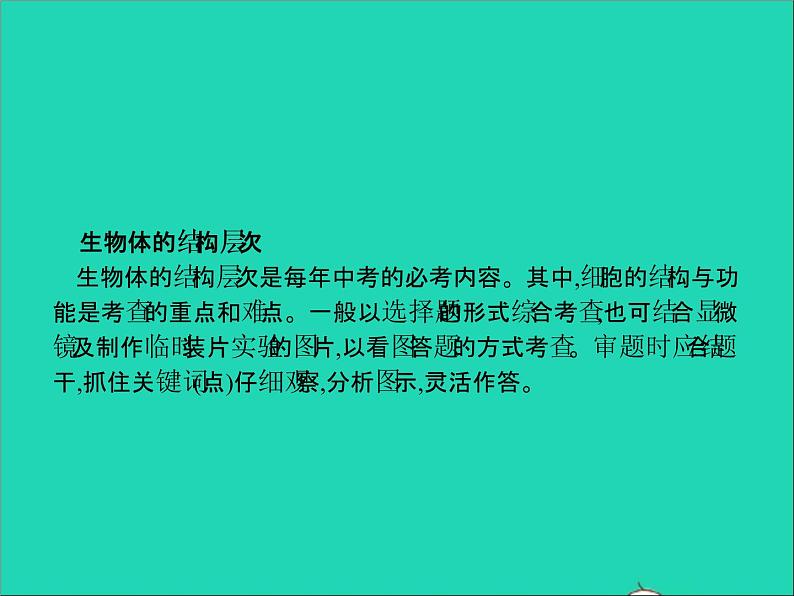 初中生物中考复习 中考生物总复习专题二生物体的结构层次课件第3页