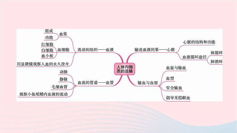 初中生物中考复习 中考生物总复习第一部分基醇点巩固第四单元生物圈中的人第四章人体内物质的运输课件第2页