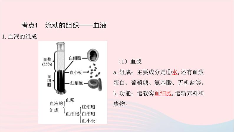 初中生物中考复习 中考生物总复习第一部分基醇点巩固第四单元生物圈中的人第四章人体内物质的运输课件第3页
