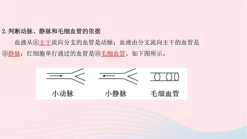 初中生物中考复习 中考生物总复习第一部分基醇点巩固第四单元生物圈中的人第四章人体内物质的运输课件第8页