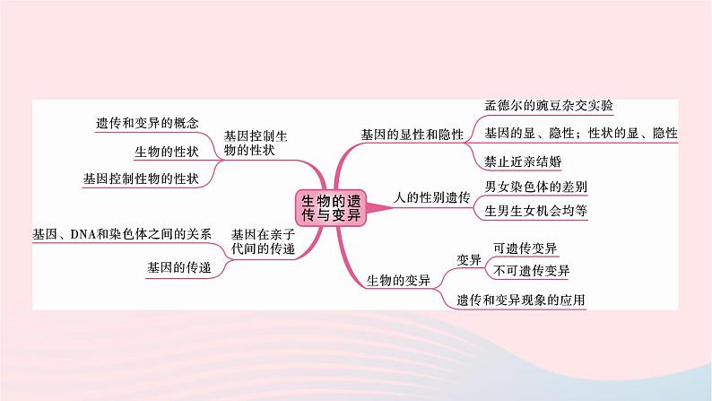 初中生物中考复习 中考生物总复习第一部分基醇点巩固第七单元生物圈中生命的延续和发展第二章生物的遗传与变异课件第2页
