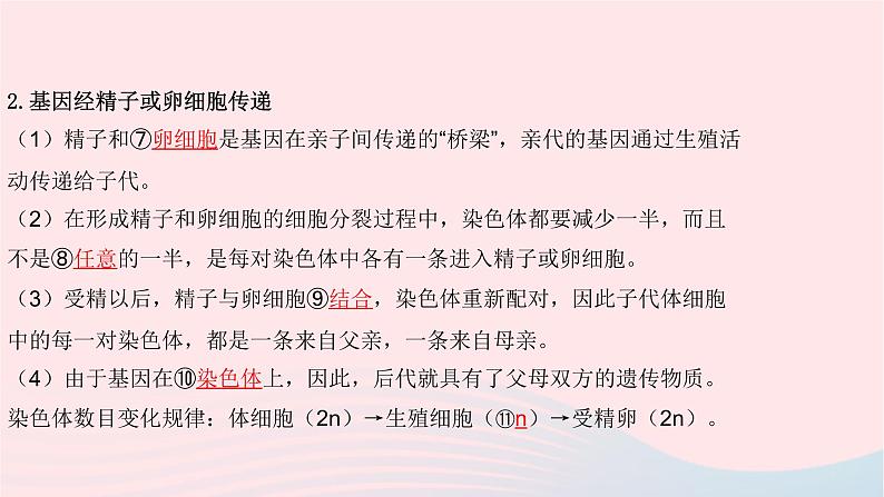 初中生物中考复习 中考生物总复习第一部分基醇点巩固第七单元生物圈中生命的延续和发展第二章生物的遗传与变异课件第6页