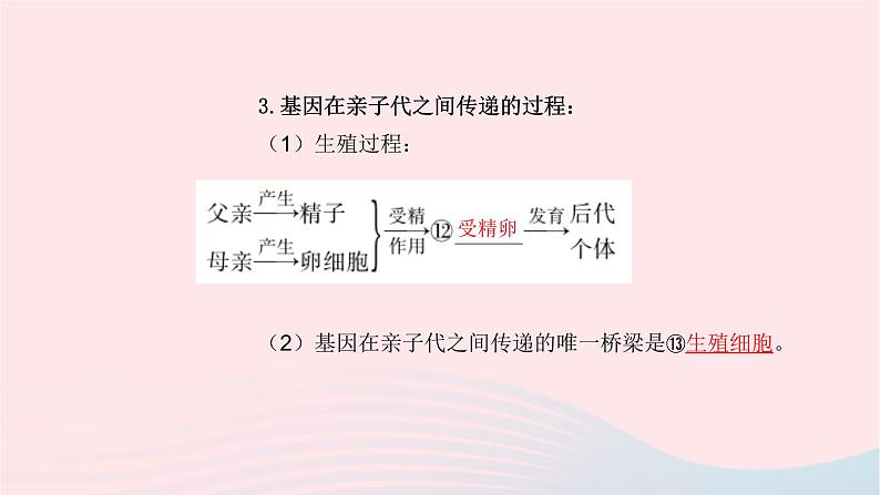 初中生物中考复习 中考生物总复习第一部分基醇点巩固第七单元生物圈中生命的延续和发展第二章生物的遗传与变异课件第7页