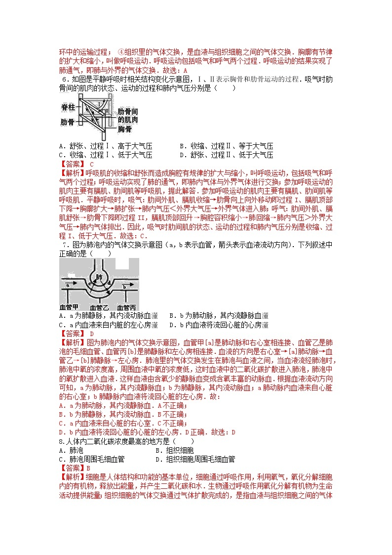 单元复习03 人体的呼吸【专项练习】——2022-2023学年人教版生物七年级下册单元综合复习（原卷版+解析版）02