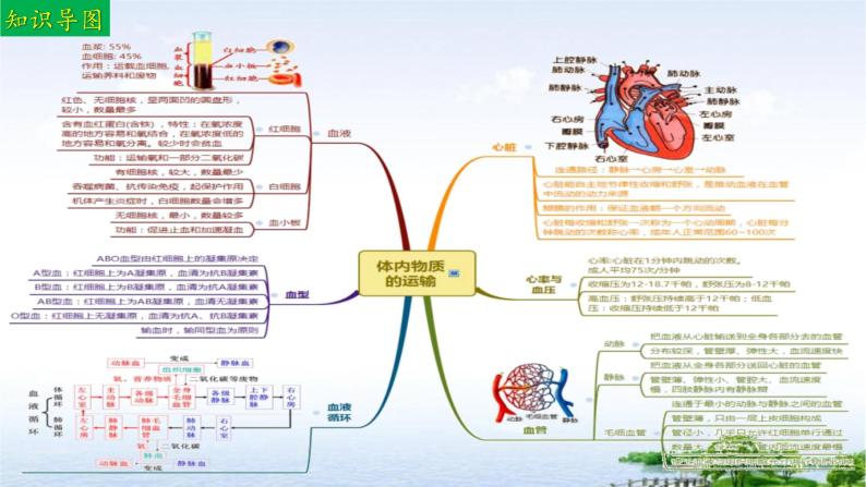 单元复习03 人体内的物质运输和能量供给（复习课件）——2022-2023学年度人教版生物七年级下册单元综合复习03