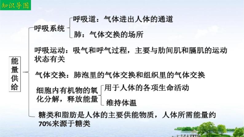 单元复习03 人体内的物质运输和能量供给（复习课件）——2022-2023学年度人教版生物七年级下册单元综合复习04