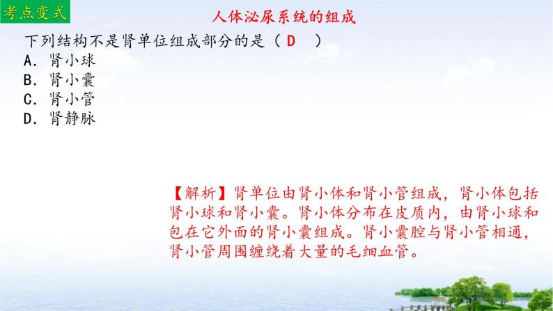 单元复习04 人体内废物排入环境（复习课件）——2022-2023学年人教版生物七年级下册单元综合复习08