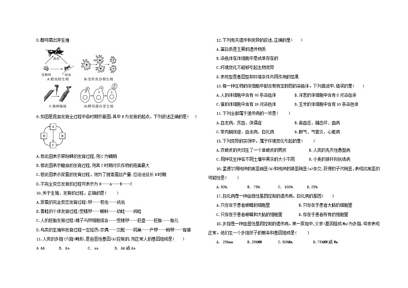 人教版生物八年级下册期中模拟测试卷(一)(含答案)02