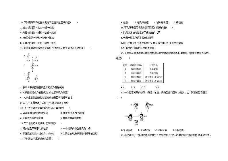人教版生物八年级下册期中模拟测试卷(二)(含答案)第2页