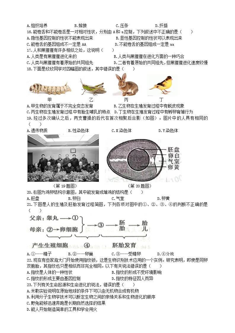 冀教版生物八年级下册期中模拟测试卷(一)(含答案)第2页