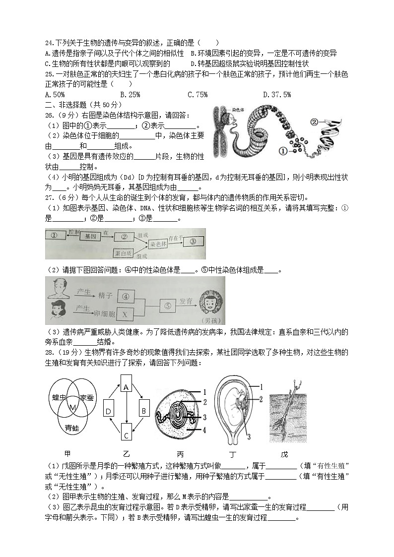 冀教版生物八年级下册期中模拟测试卷(一)(含答案)第3页