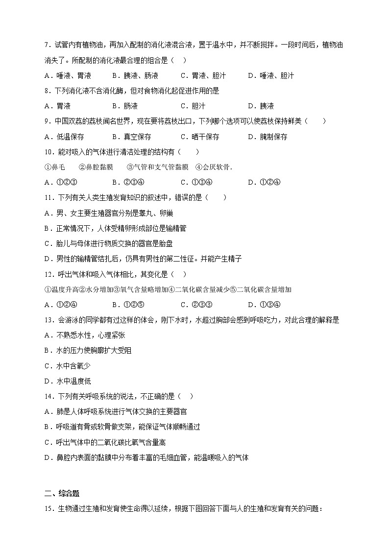 七年级下册生物期中考试考前必刷卷Ⅲ(学生版)第2页