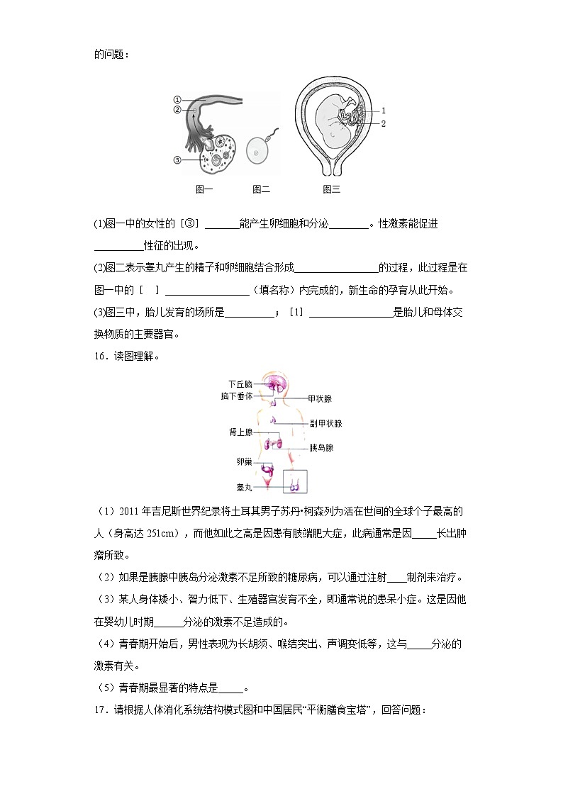 七年级下册生物期中考试考前必刷卷Ⅲ(教师版)第3页