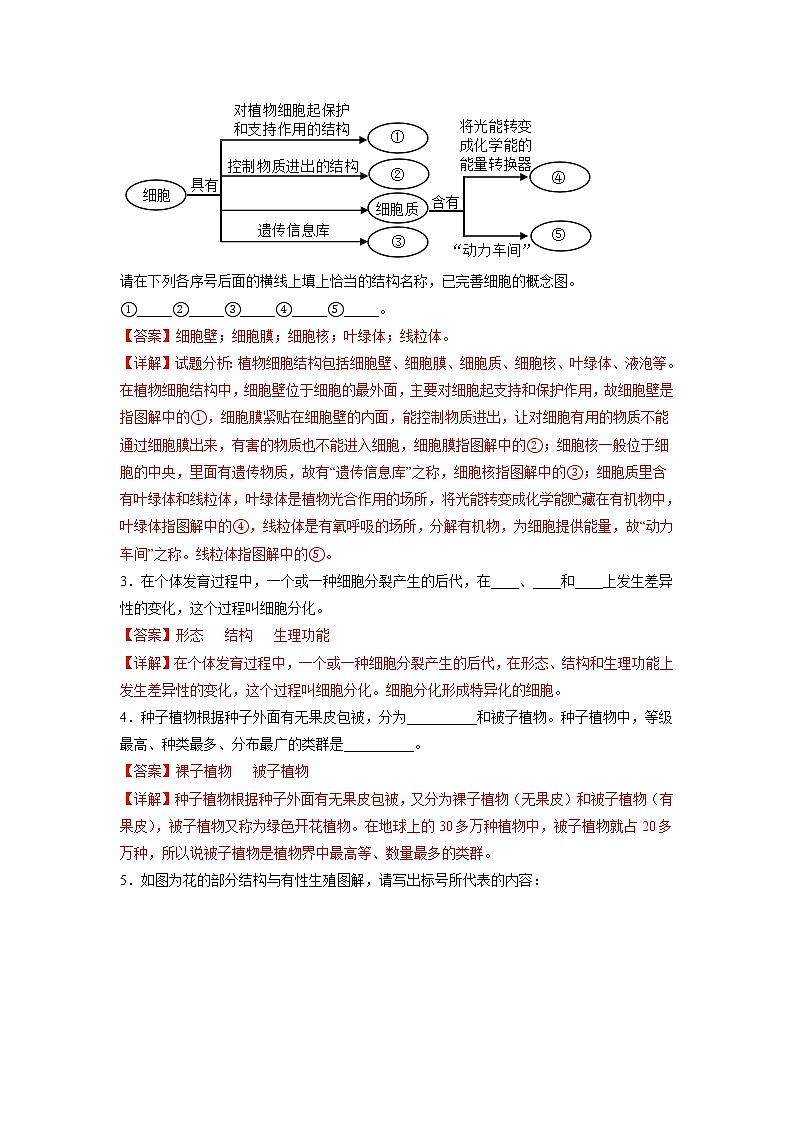 专练11 填空题(40题)(解析版)第2页