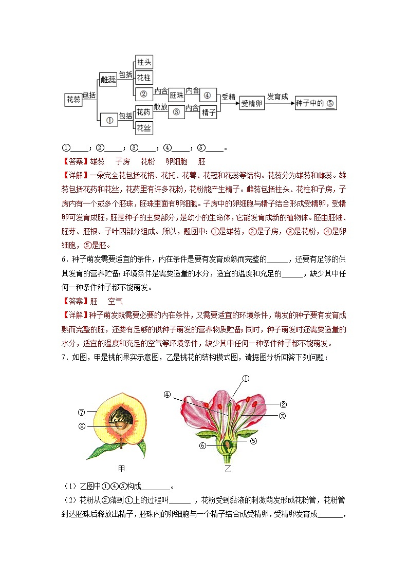 专练11 填空题(40题)(解析版)第3页