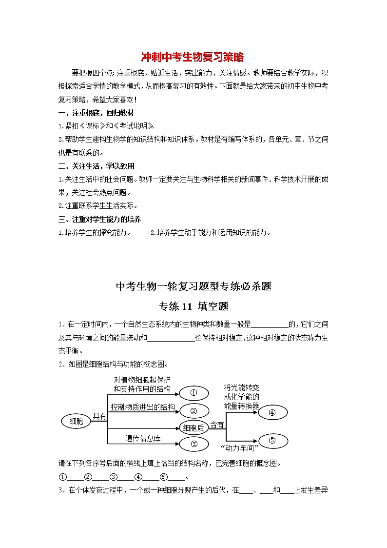 专练11 填空题(40题)(原卷版)第1页