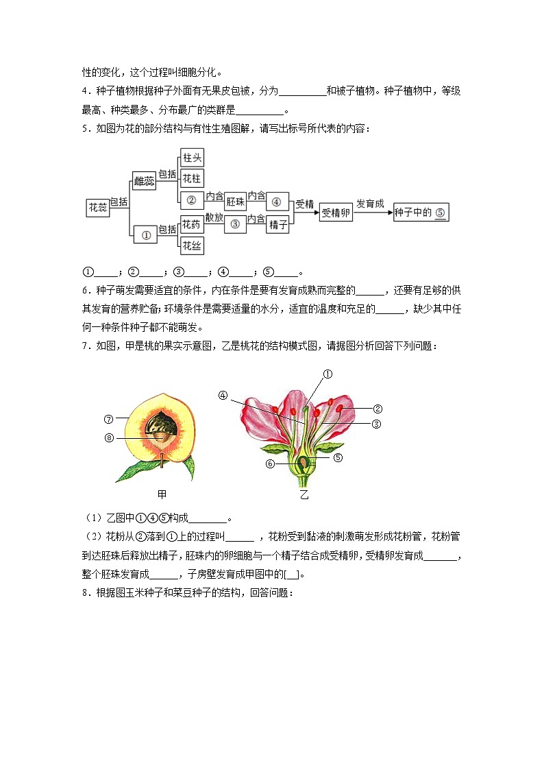 专练11 填空题(40题)(原卷版)第2页