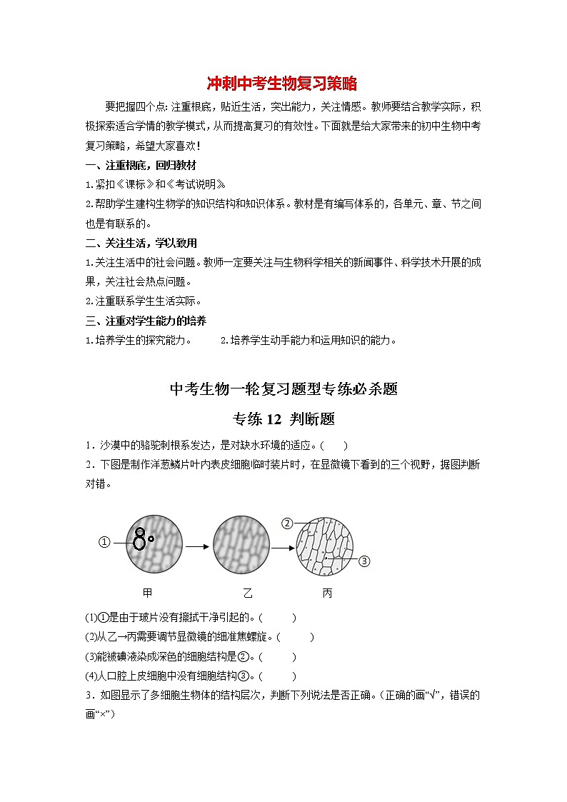 专练12 判断题(30题)(原卷版)第1页