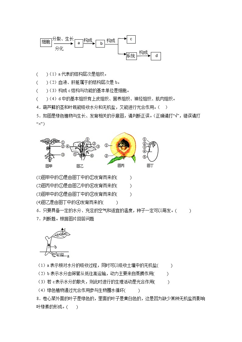 专练12 判断题(30题)(原卷版)第2页