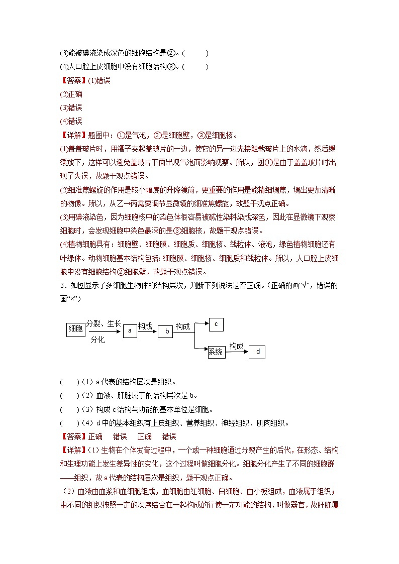 专练12 判断题(30题)(解析版)第2页