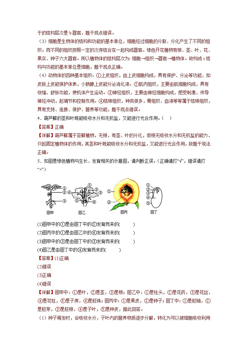 专练12 判断题(30题)(解析版)第3页