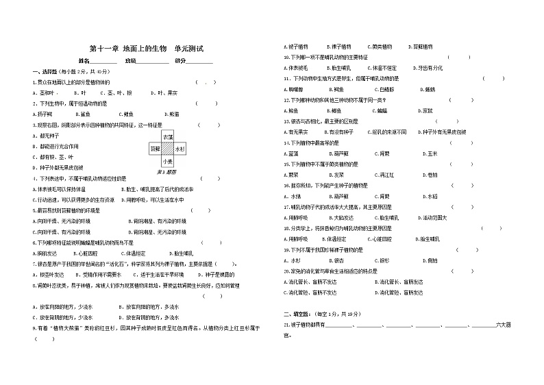 初中生物苏科版七年级下学期同步检测试题:第11章 地面上的生物 检测题(含答案)第1页