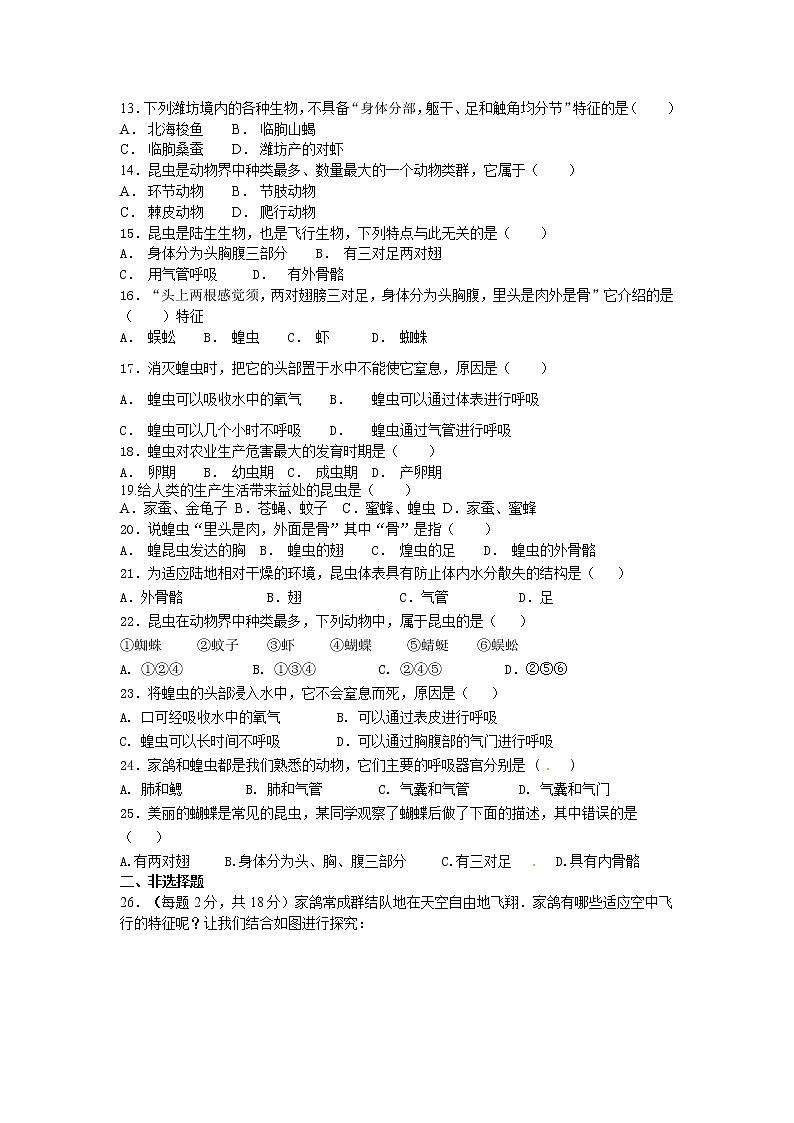 初中生物苏科版七年级下学期同步检测试题:第12章 空中的生物 检测题(含答案)02
