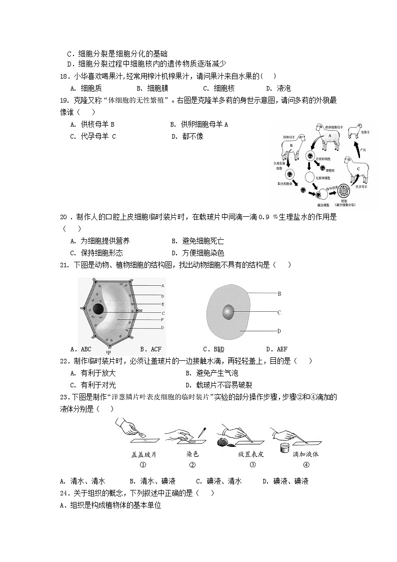 初中生物苏科版七年级下学期同步检测试题:第8章 生物体有相同的基本结构 检测题(含答案)03