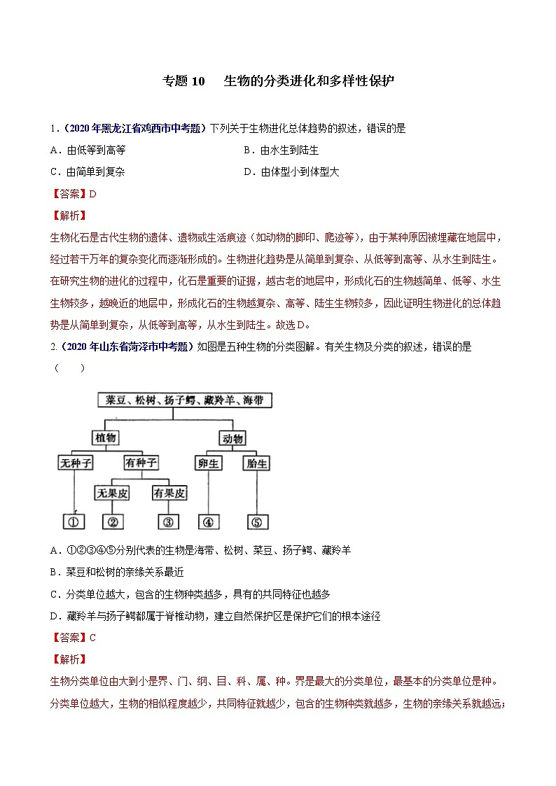 初中生物中考复习 专题10 生物的分类进化和多样性保护-2020年中考生物真题分项汇编(全国通用)(解析版)01