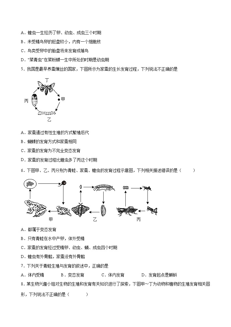 初中生物中考复习 专题07 生物的生殖、发育与遗传(综合提分练)-【过专题】2022年中考生物二轮精准高效复习(原卷版)第2页