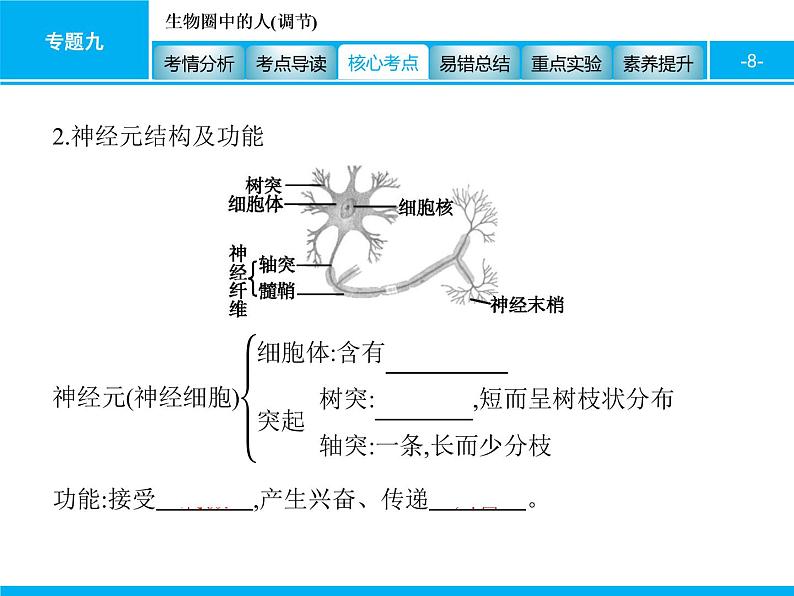 初中生物中考复习 专题九 生物圈中的人(调节) 课件 2021届中考生物一轮复习08