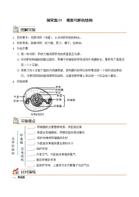 初中生物人教版 (新课标)八年级上册第五单元 生物圈中的其他生物第一章   动物的主要类群第六节   鸟随堂练习题