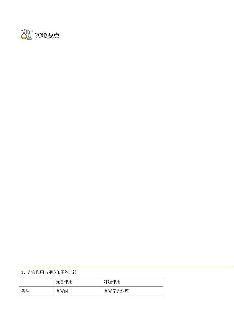 探究题09  呼吸作用的相关实验-七年级上册实验专题03