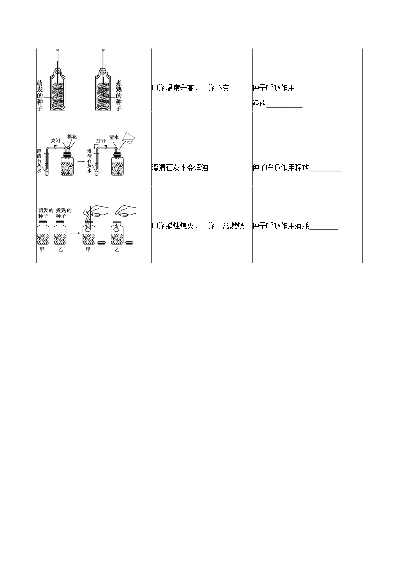 探究题09  呼吸作用的相关实验-七年级上册实验专题02