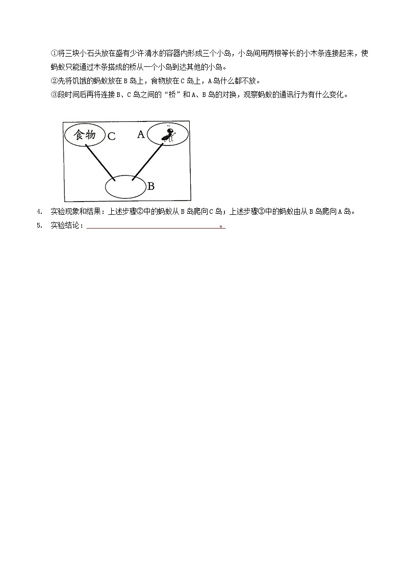 探究题03 蚂蚁的通讯-八年级上册实验专题02
