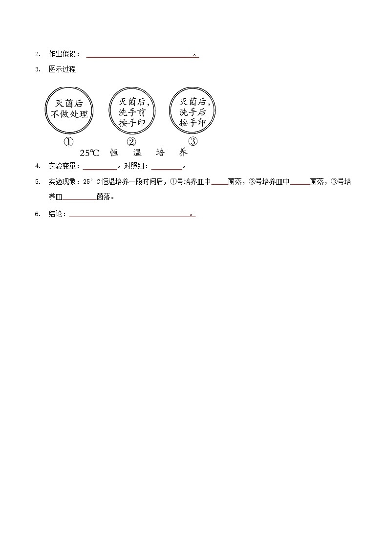 探究题04 检测不同环境中的细菌和真菌-八年级上册实验专题02