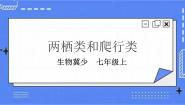初中生物第七节 两栖类和爬行类优质课课件ppt