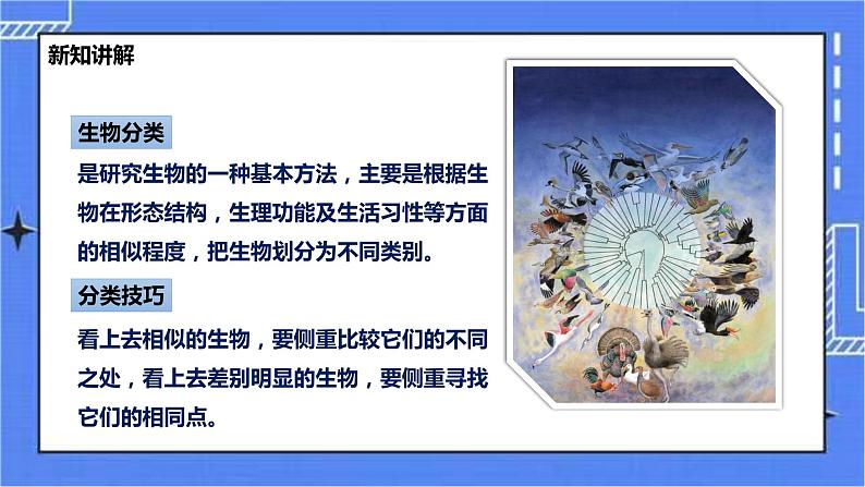 冀少版生物七上5.1尝试对生物进行分类 课件+教案+练习+素材05