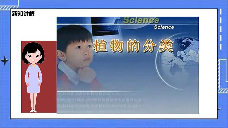冀少版生物七上5.1尝试对生物进行分类 课件+教案+练习+素材08